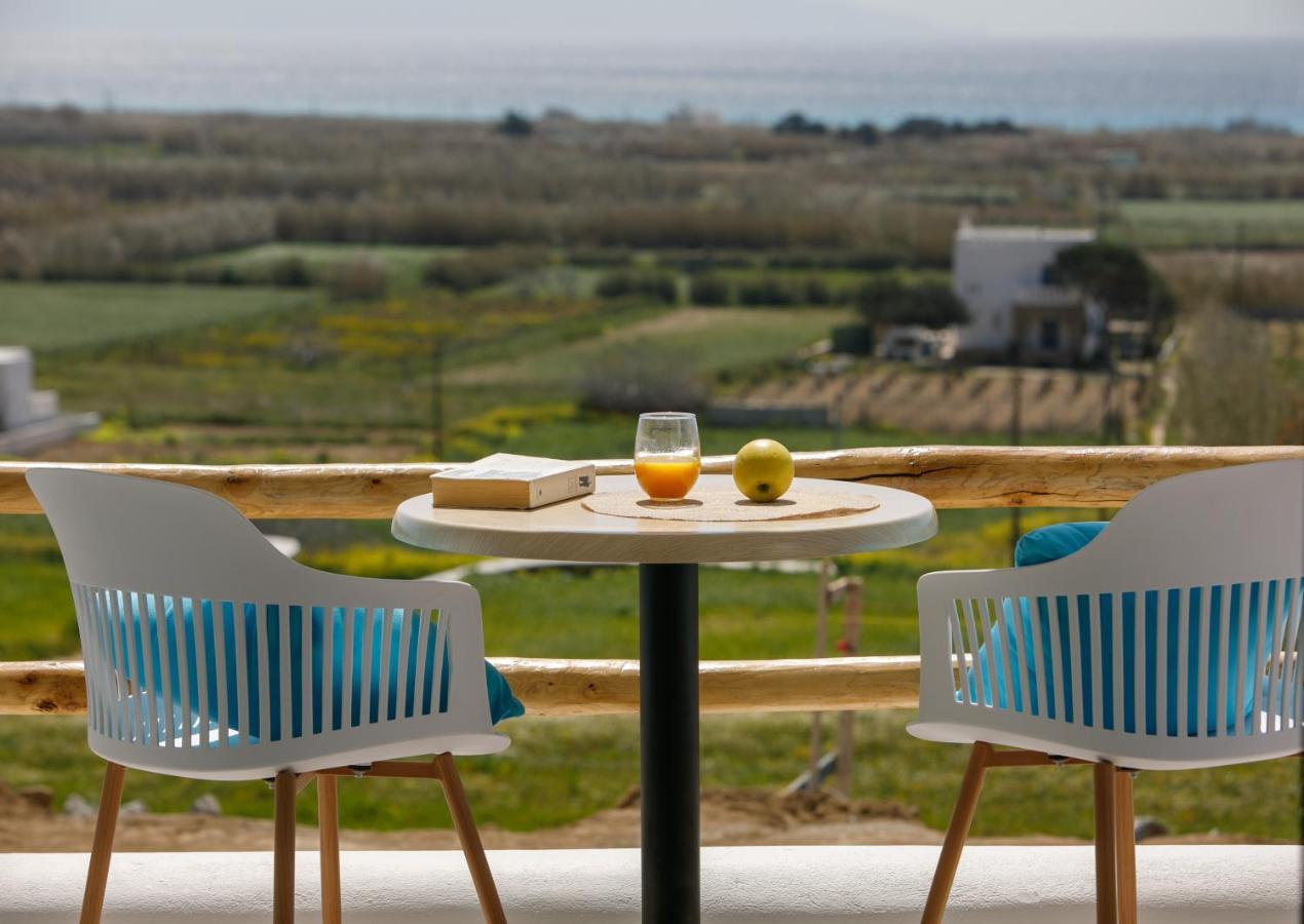 Naxos Earth Suites Mikri Vigla Exterior photo