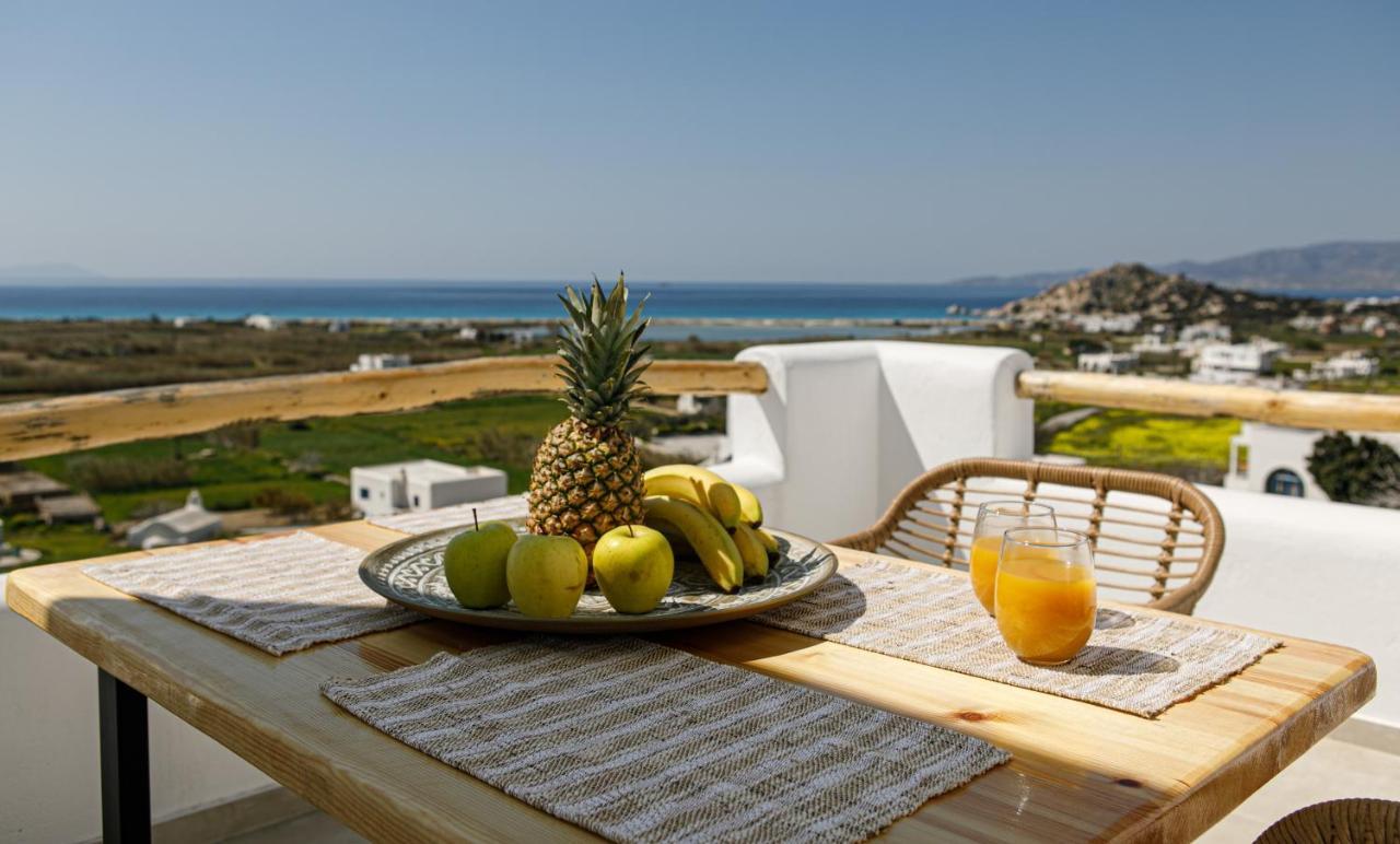 Naxos Earth Suites Mikri Vigla Exterior photo